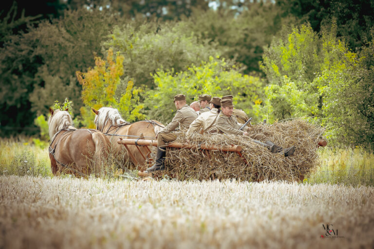 Pierwsze żniwa 1944 r.